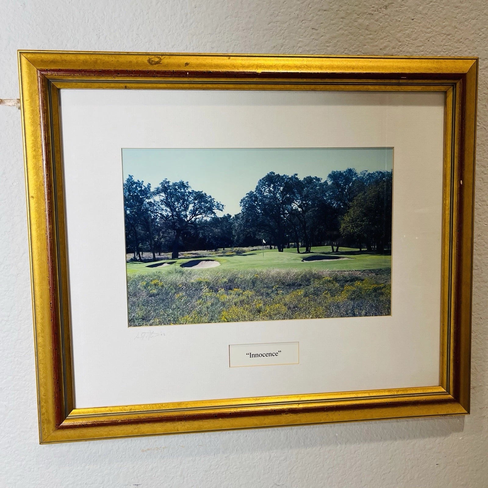 Golf Club Signed Home Office Decor Accent Wall Art Crafts Title Innocence