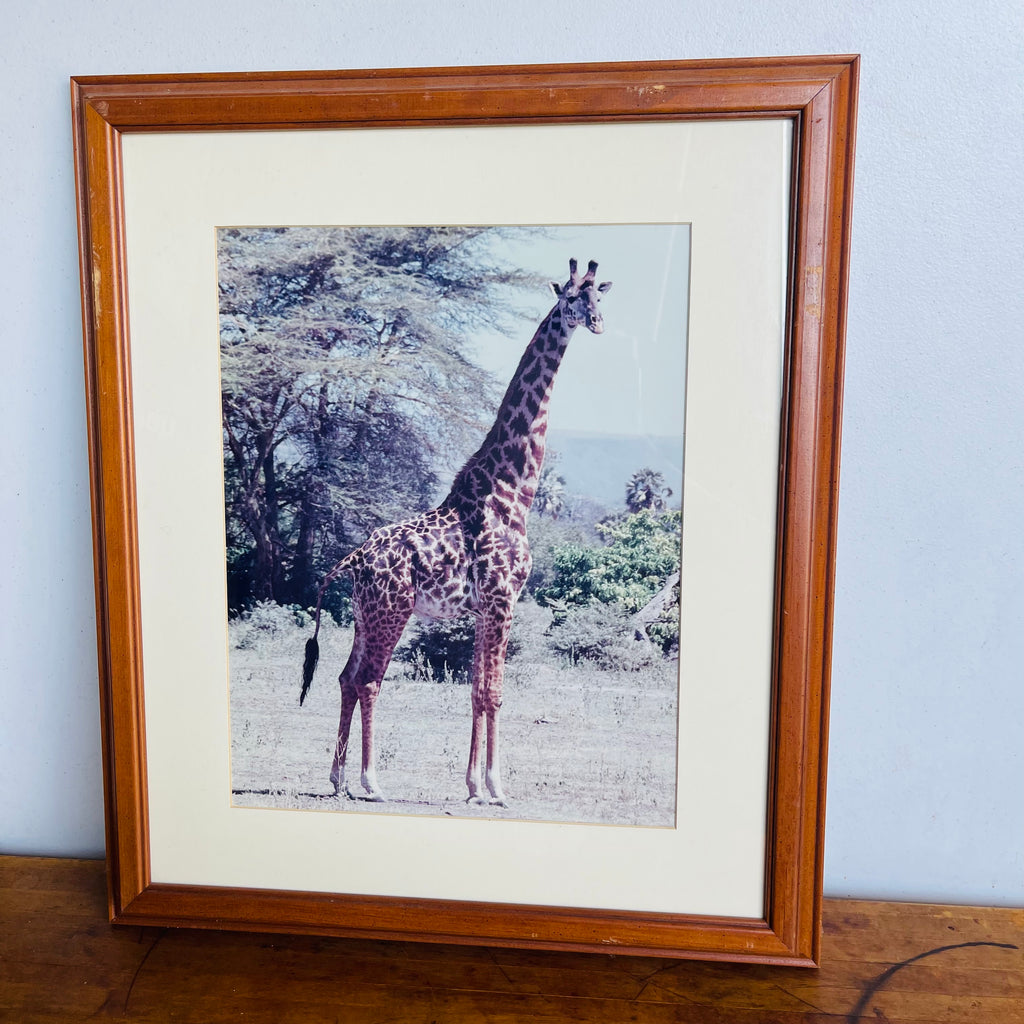 Giraffe Safari Wall Art Decor