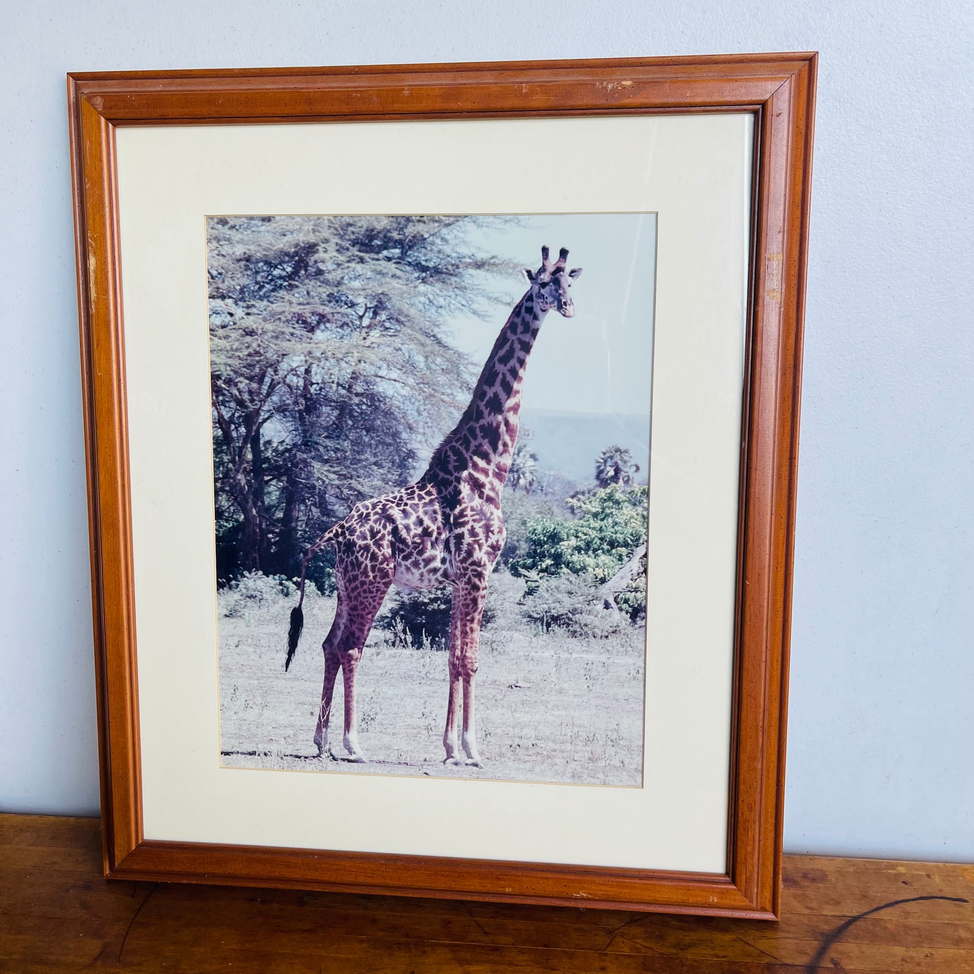 Giraffe Safari Wall Art Decor