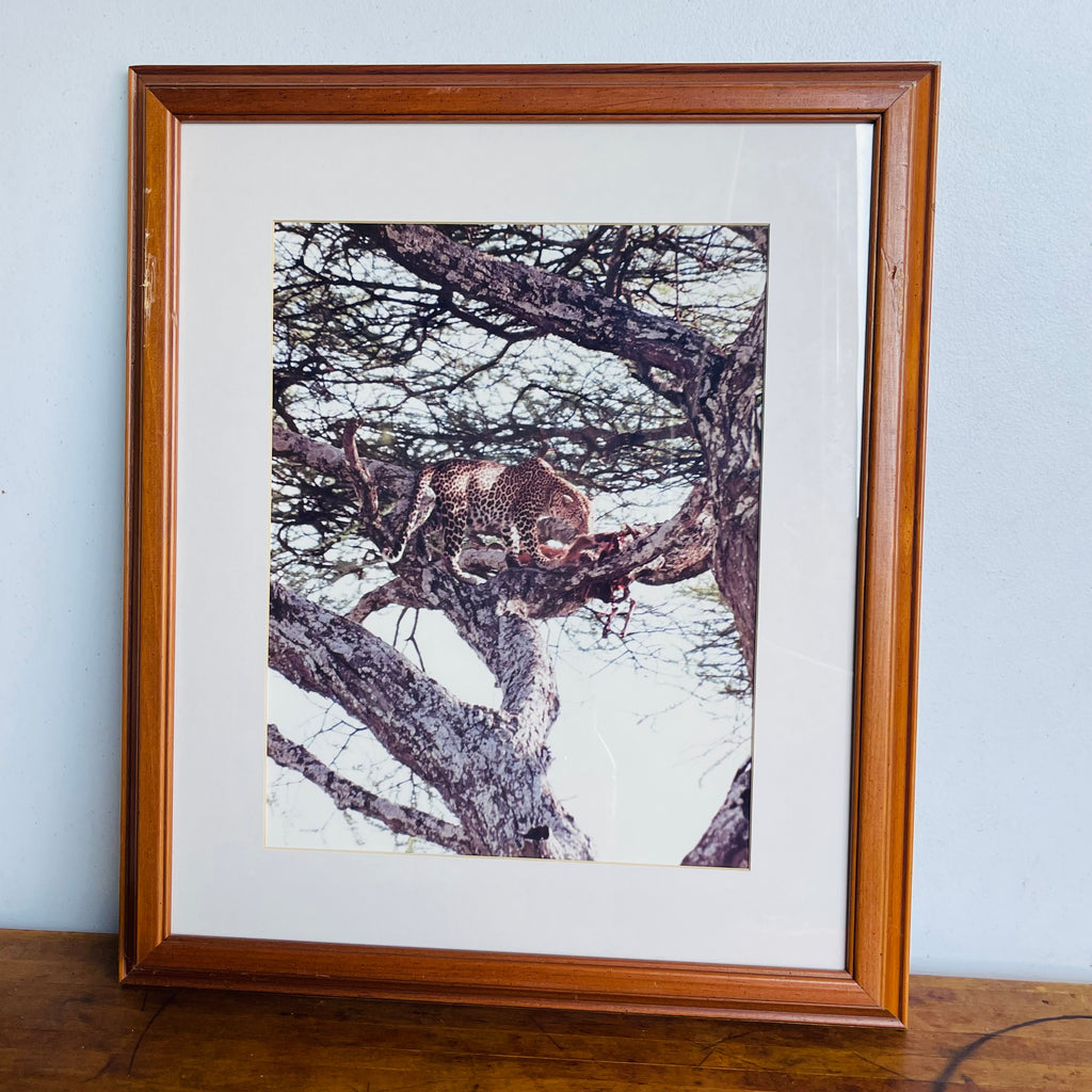 Leopard Safari Wall Art Decor