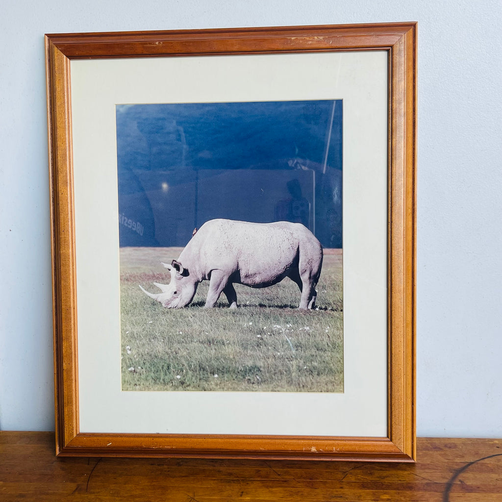Rhino Safari Wall Art Decor