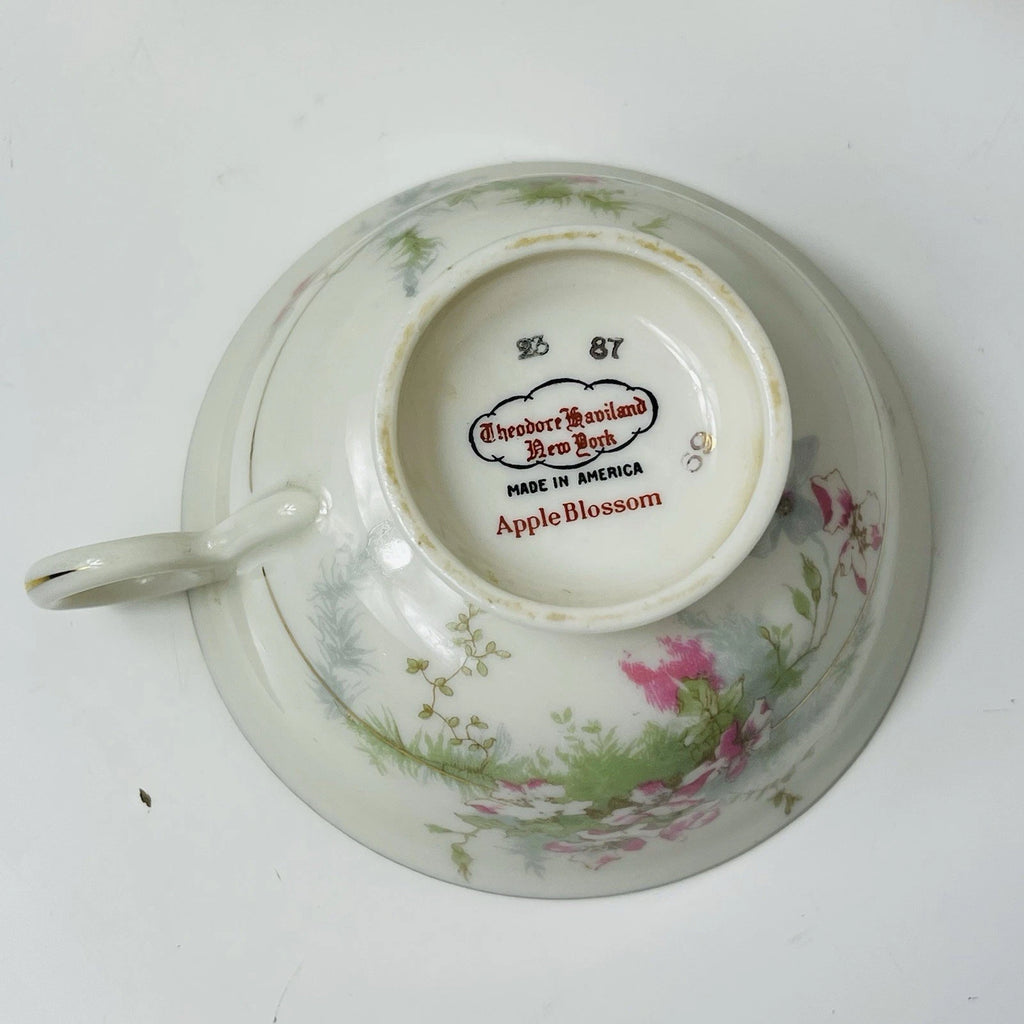 Haviland China's 4-Piece Apple BlossomSet  Teacup – Theodore Collection.