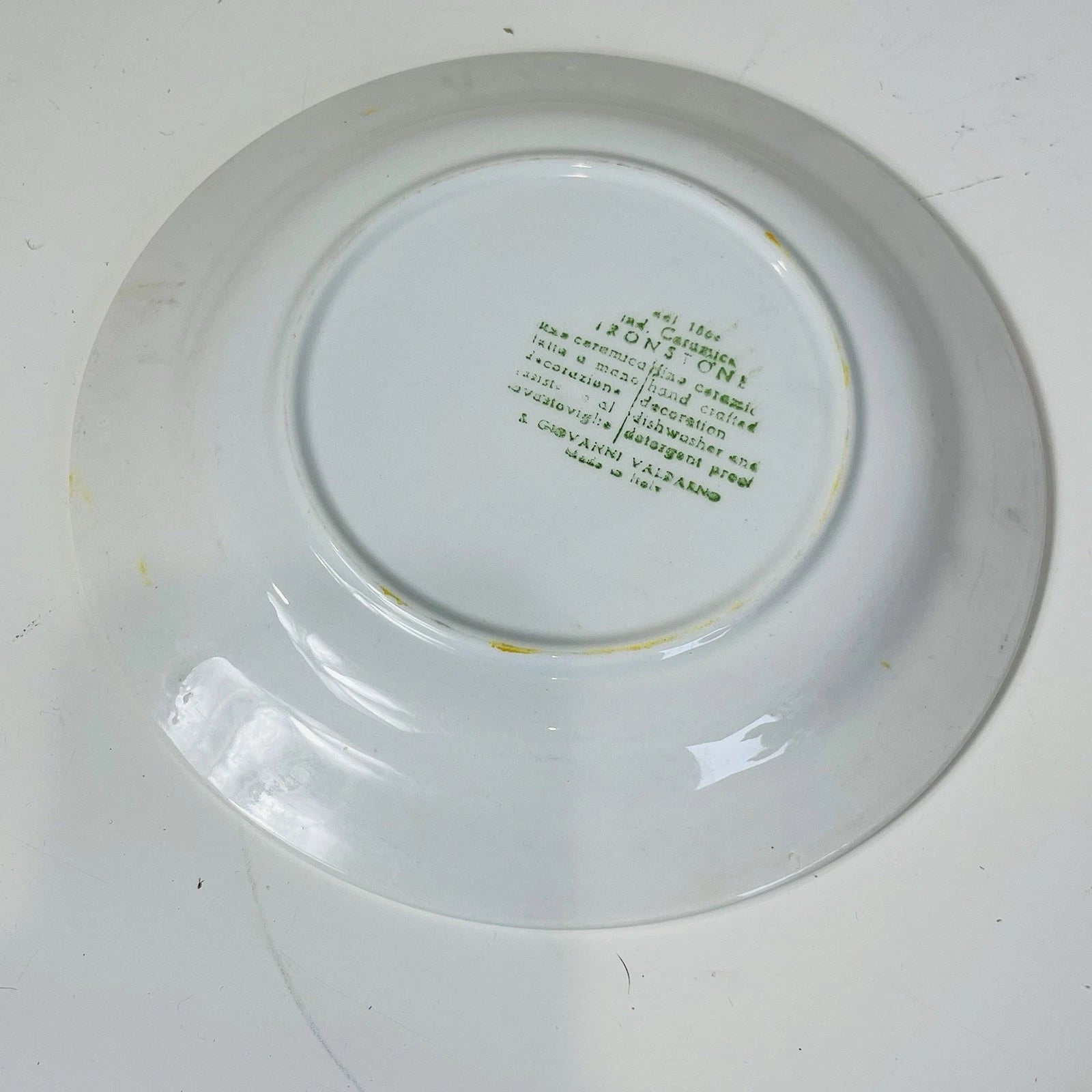San Giovanni Valdarno Ironstone Ceramica Floral Hand Painted Italy Plate 8”