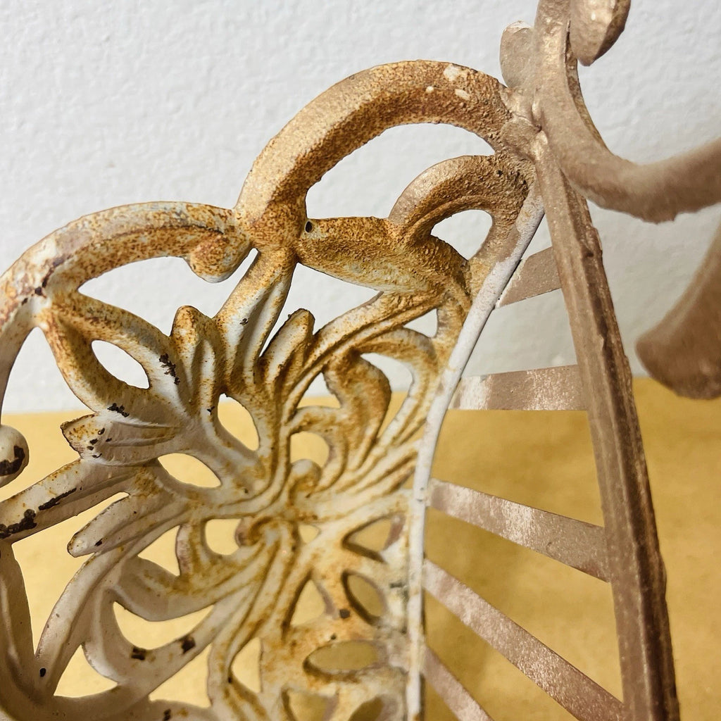 Fiona-Style Wall Basket: Wrought Iron Planter for Garden Flowers, Metallic Finish