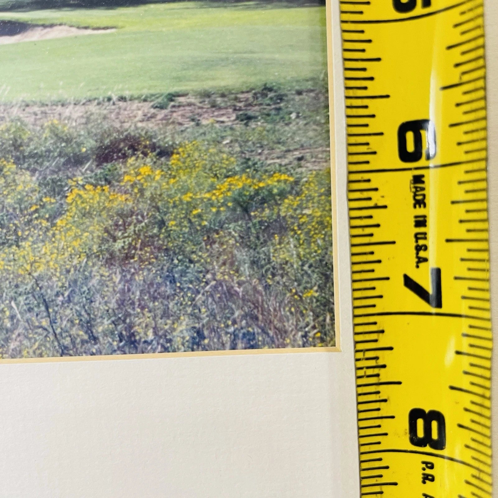 Golf Club Signed Home Office Decor Accent Wall Art Crafts Title Innocence