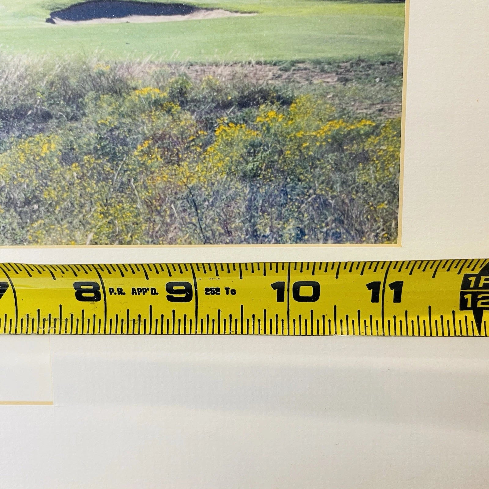Golf Club Signed Home Office Decor Accent Wall Art Crafts Title Innocence