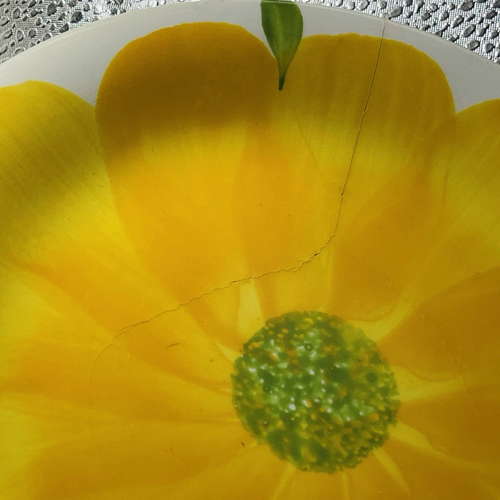 San Giovanni Valdarno Ironstone Ceramica Floral Hand Painted Italy Plate 8”