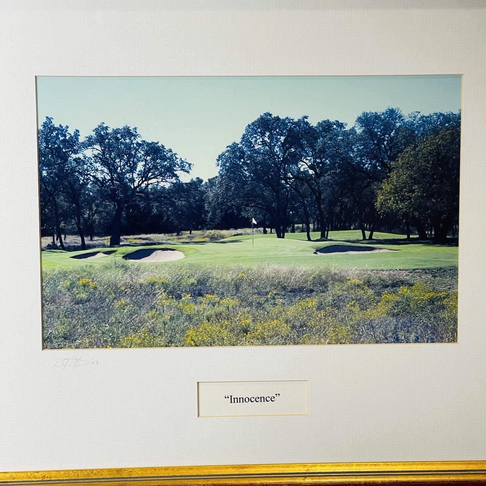 Golf Club Signed Home Office Decor Accent Wall Art Crafts Title Innocence