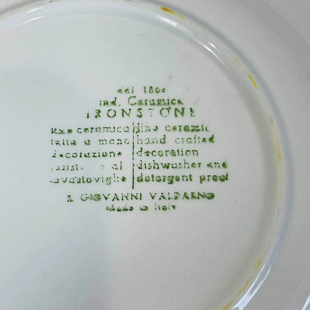 San Giovanni Valdarno Ironstone Ceramica Floral Hand Painted Italy Plate 8”