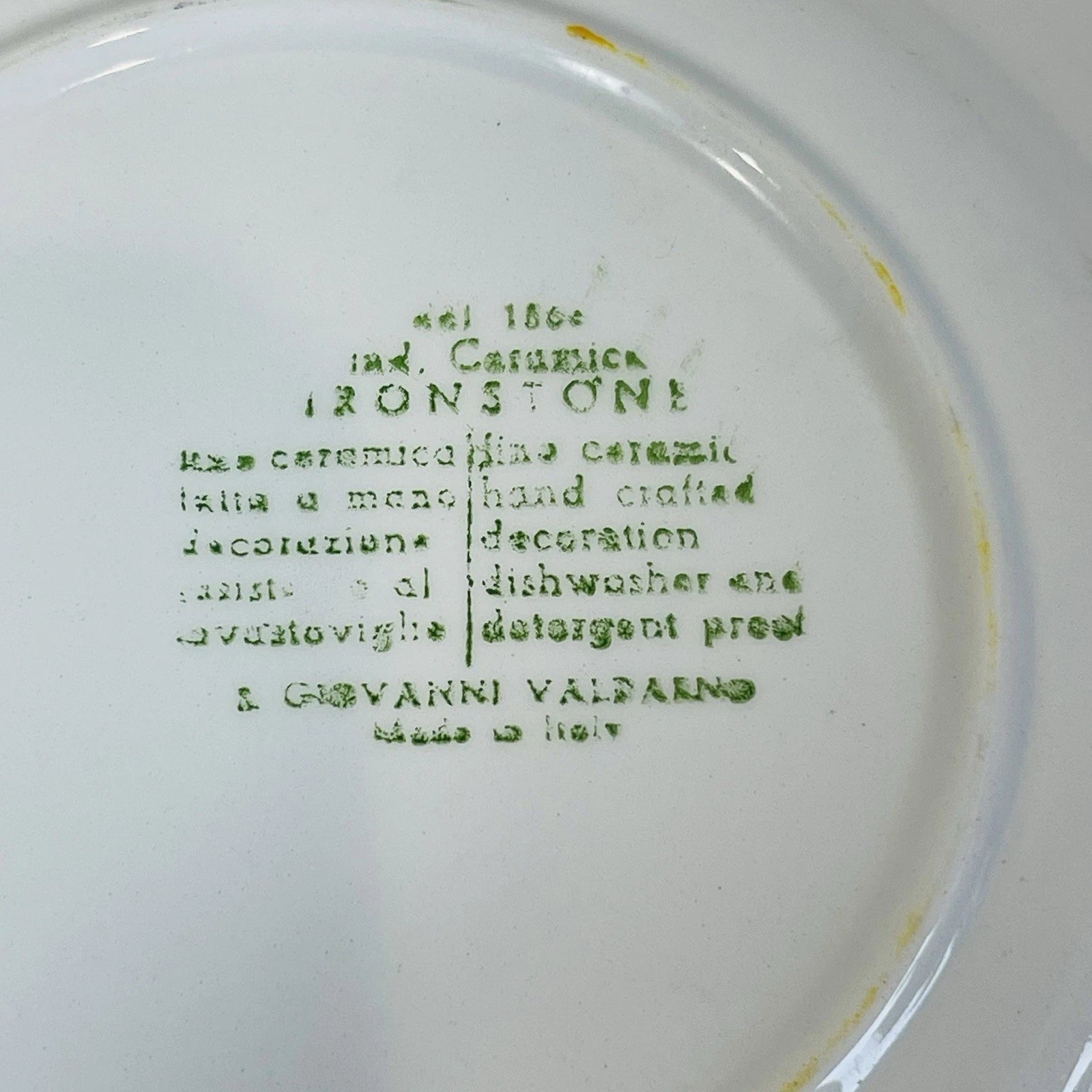 San Giovanni Valdarno Ironstone Ceramica Floral Hand Painted Italy Plate 8”