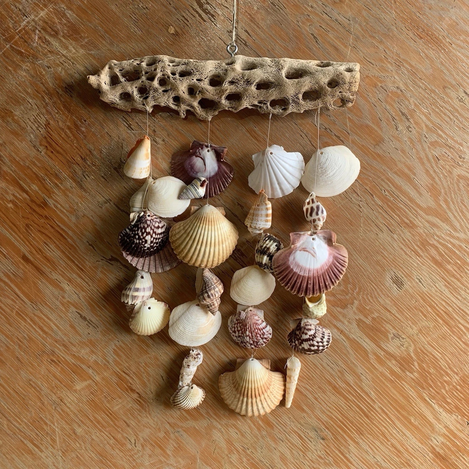 Hand Made Seashell Wind Chime on Coral Coastal Style Home Office Accent Decor