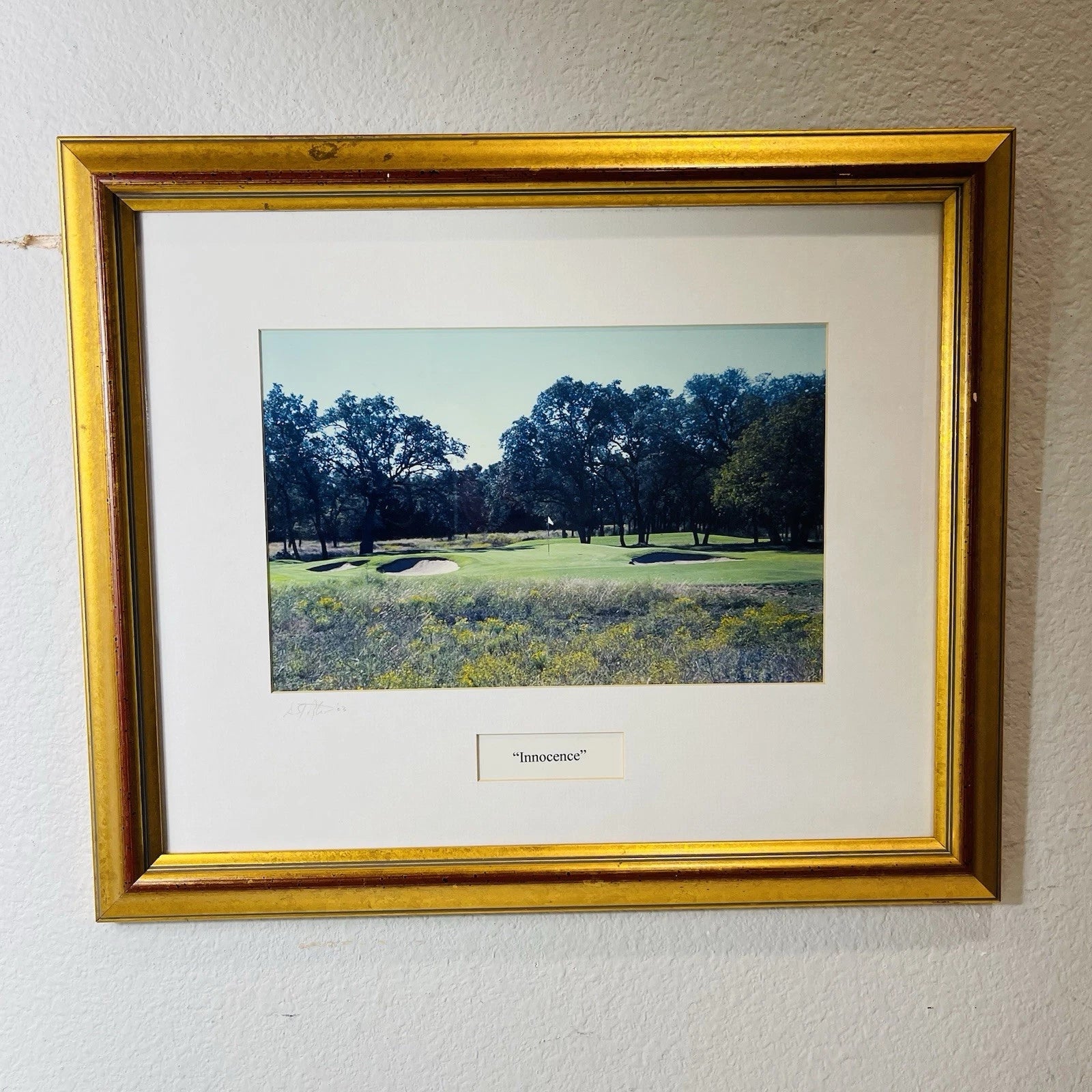 Golf Club Signed Home Office Decor Accent Wall Art Crafts Title Innocence