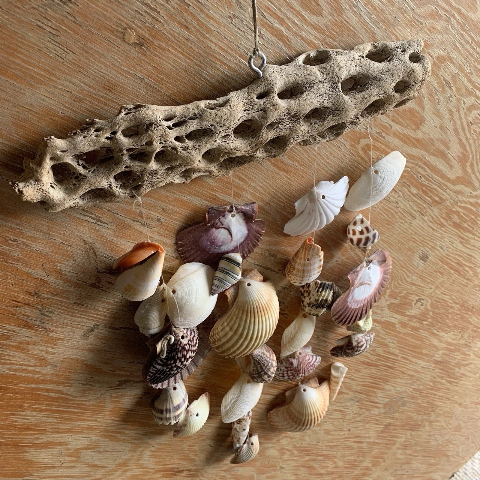 Hand Made Seashell Wind Chime on Coral Coastal Style Home Office Accent Decor