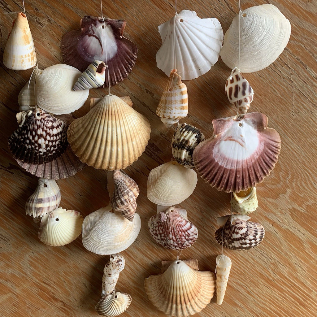 Hand Made Seashell Wind Chime on Coral Coastal Style Home Office Accent Decor