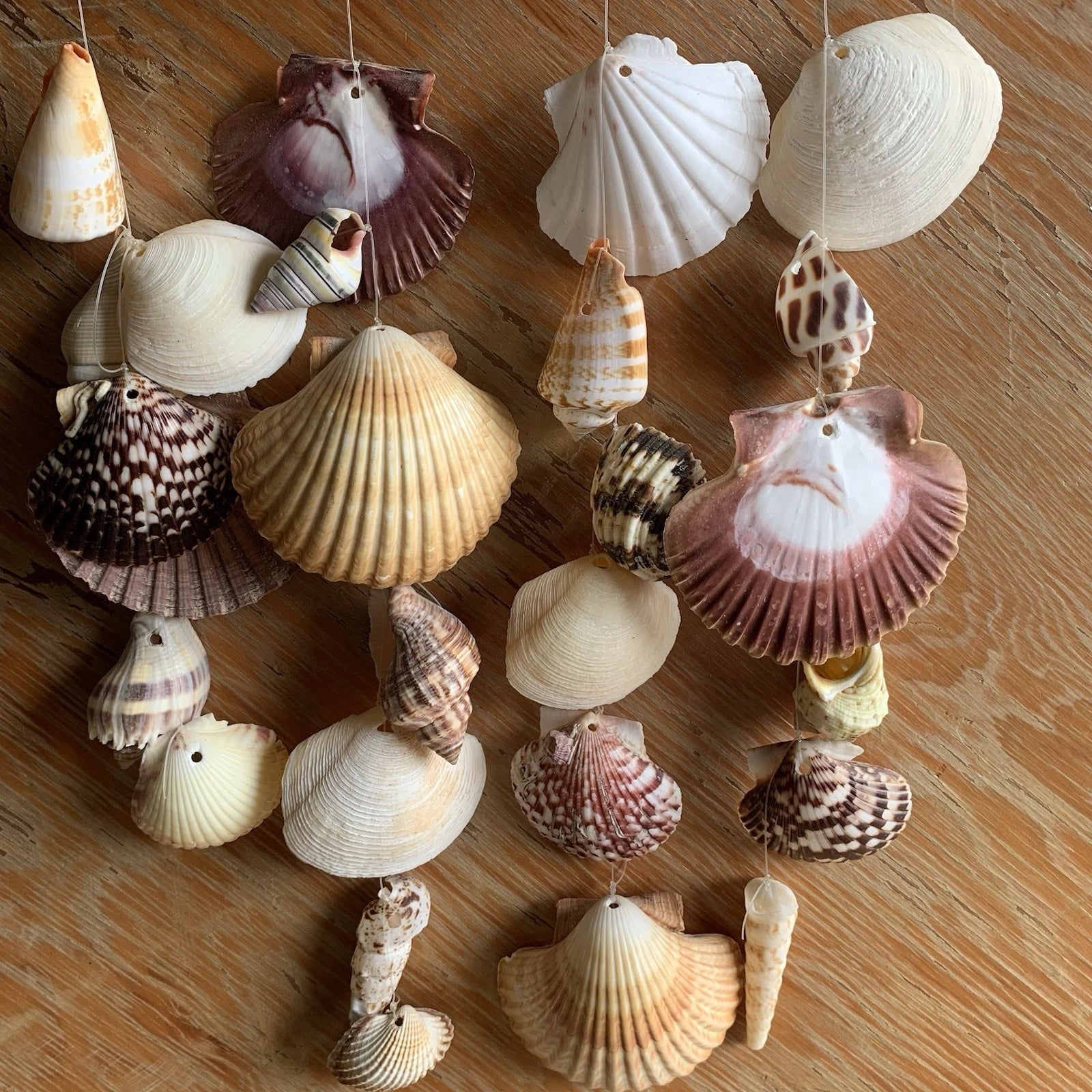 Hand Made Seashell Wind Chime on Coral Coastal Style Home Office Accent Decor